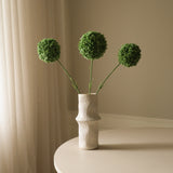 Green Allium Giganteum