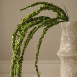 Green Amaranthus Flower