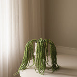 Green Amaranthus Caudatus "Dreadlocks" Flower