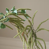 Green Amaranthus Cruentus Flower