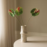 Green Anthurium Flower