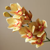 Green Cymbidium Orchid Flower