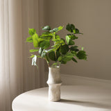 Green Hydrangea Leaves