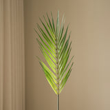 Green Palm Leaf