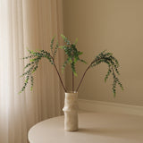 Green Parvifolia "Gunni" Eucalyptus Leaves