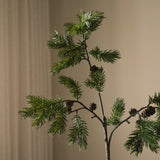 Green Pine Branch with Fir Cone