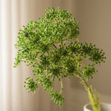 Green Queen Anne's Lace Flower