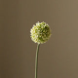 Green Small Allium Flower