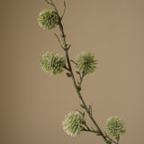 Green Thistle Ball Branch