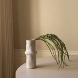 Green Amaranthus Caudatus "Dreadlocks" Flower