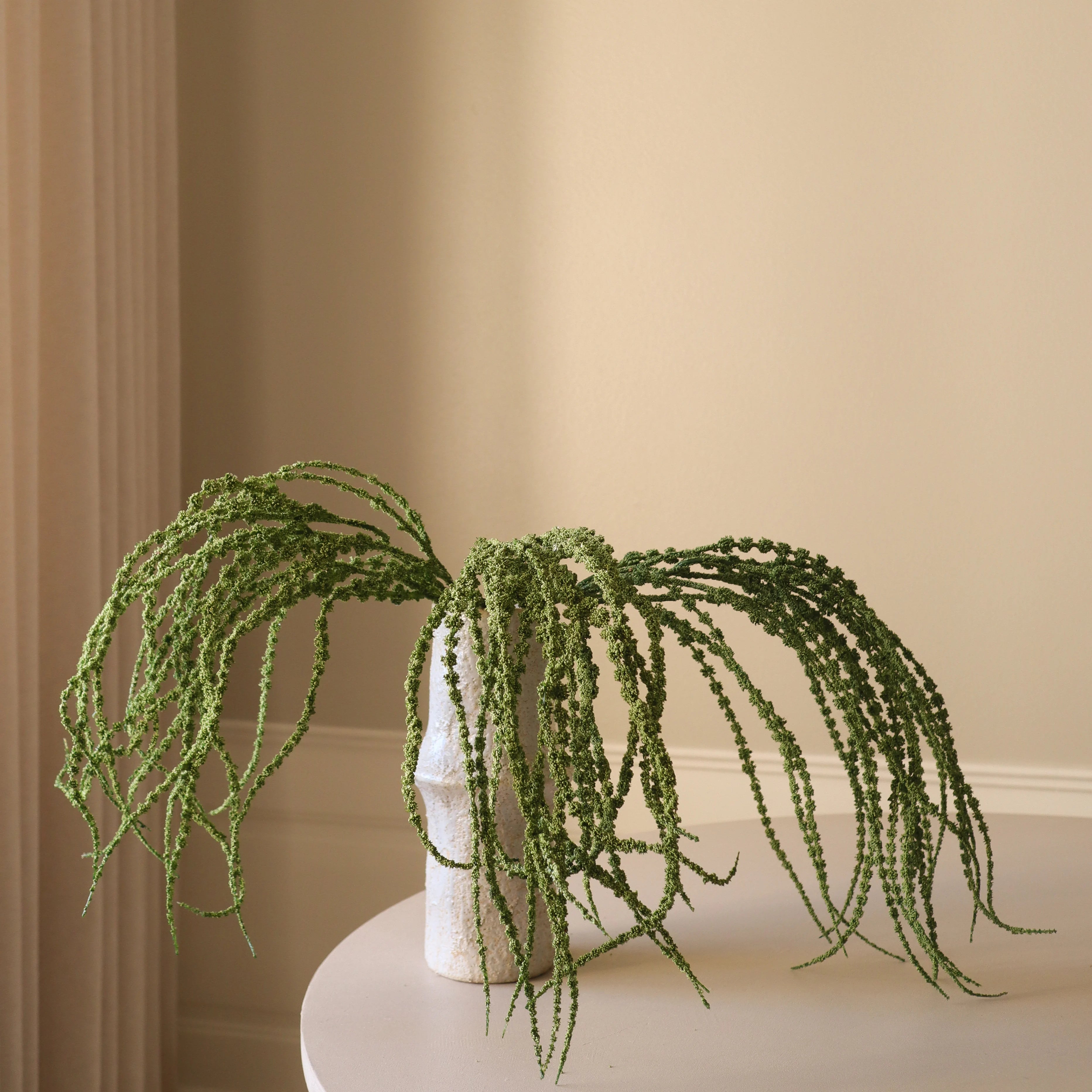 succulent that looks like dreadlocks Shop Amaranthus Caudatus "Dreadlocks" Flower from Botané
