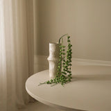 Green Coral Fountain Amaranthus Flower