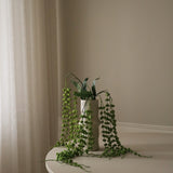 Green Coral Fountain Amaranthus Flower