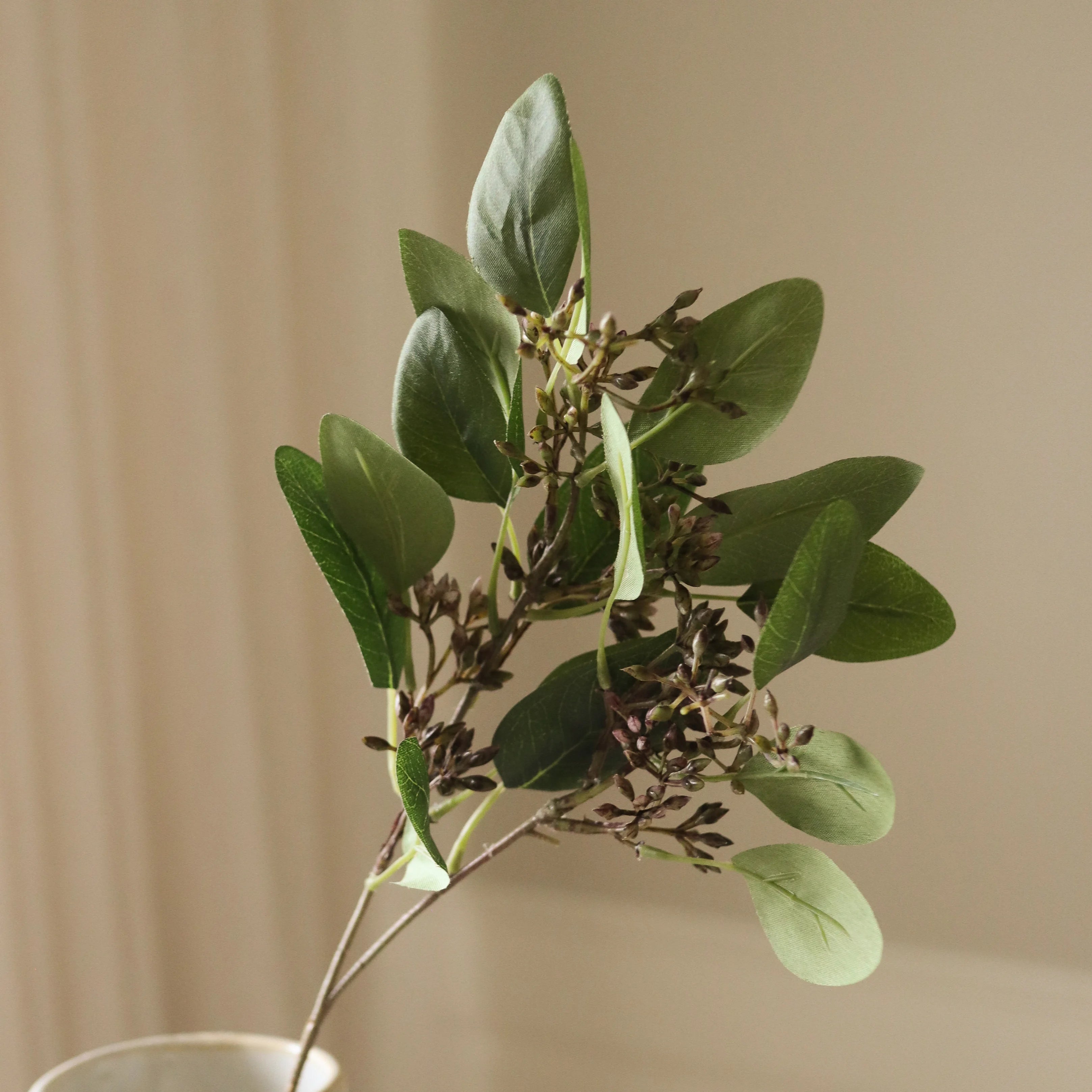 where to buy seeded eucalyptus plants Shop Seeded Eucalyptus Leaves from Botané