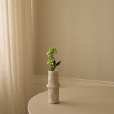 Green Small Berry Branch