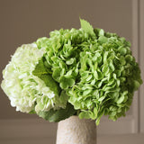 Green Hydrangea Bouquet