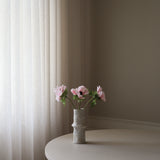 Pink Anemone Flower