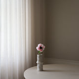 Pink Anemone Flower