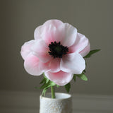 Pink Anemone Flower