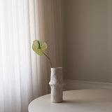 Green Anthurium Flower