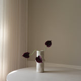 Purple Anthurium Flower