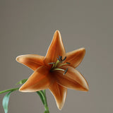 Orange Lily Flower