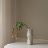Brown Amaranthus Caudatus Flower