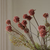 Red Craspedia Flower