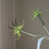 Purple Thistle Flower