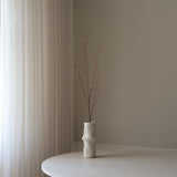 Brown Curly Willow Branch