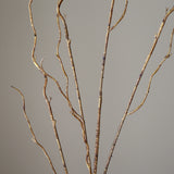 Brown Curly Willow Branch