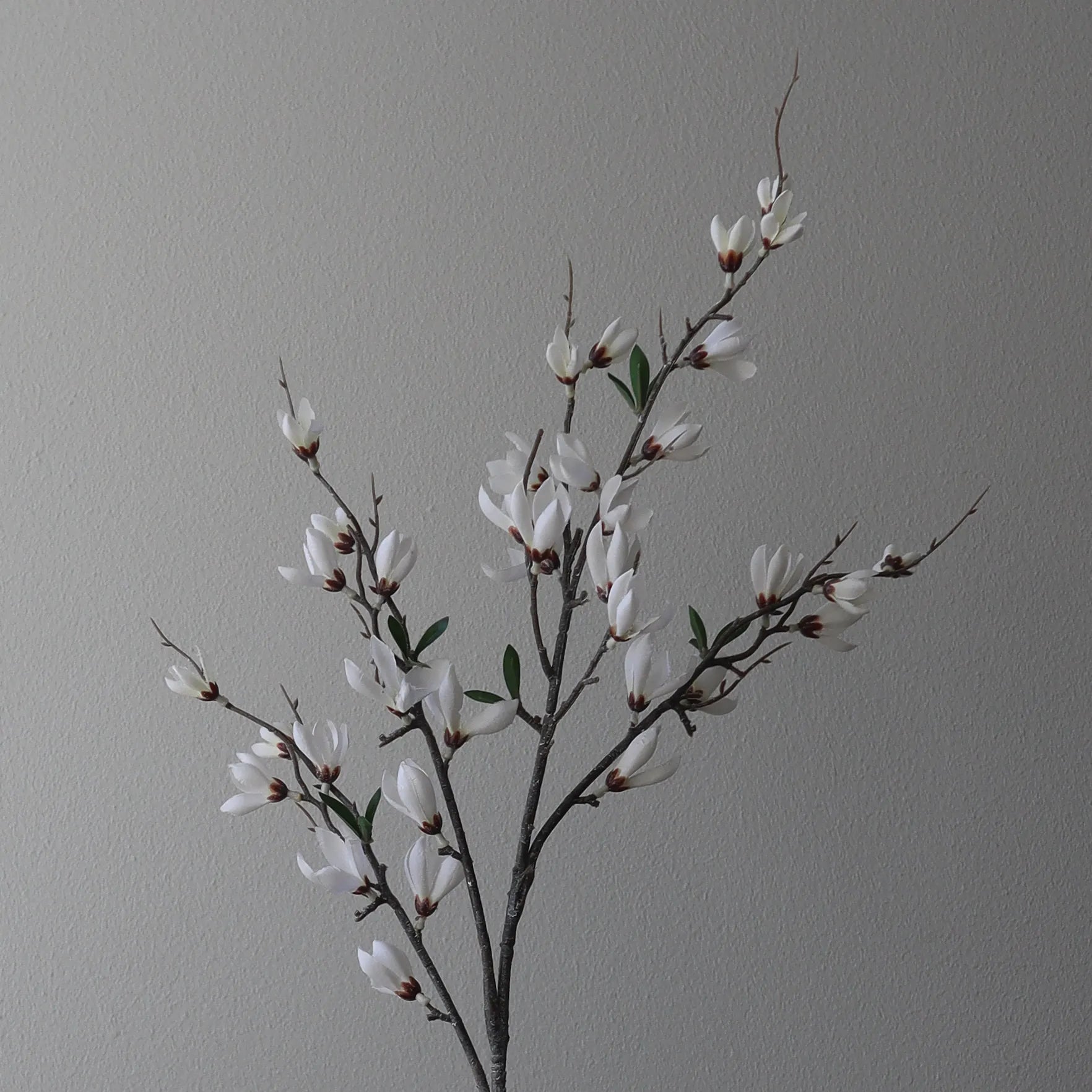 Artificial Star Magnolia Branch from Botané