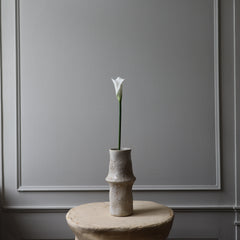 Calla Lily Flower