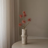 Pink Allium Fido Dido Flower