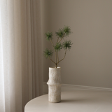Green Allium Fido Dido Flower