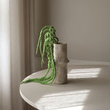 Light Green Amaranthus Caudatus Six Forks