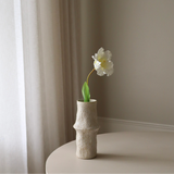 White Parrot Tulip Flower