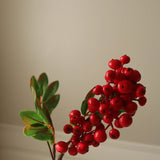 Red Firethorn Branch