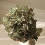 Pale Green Short Hydrangea Flower