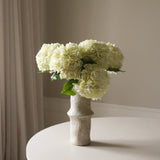 Cream Short Hydrangea Flower