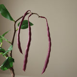 Purple Bean Branch