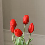 Red Tulip Bundle