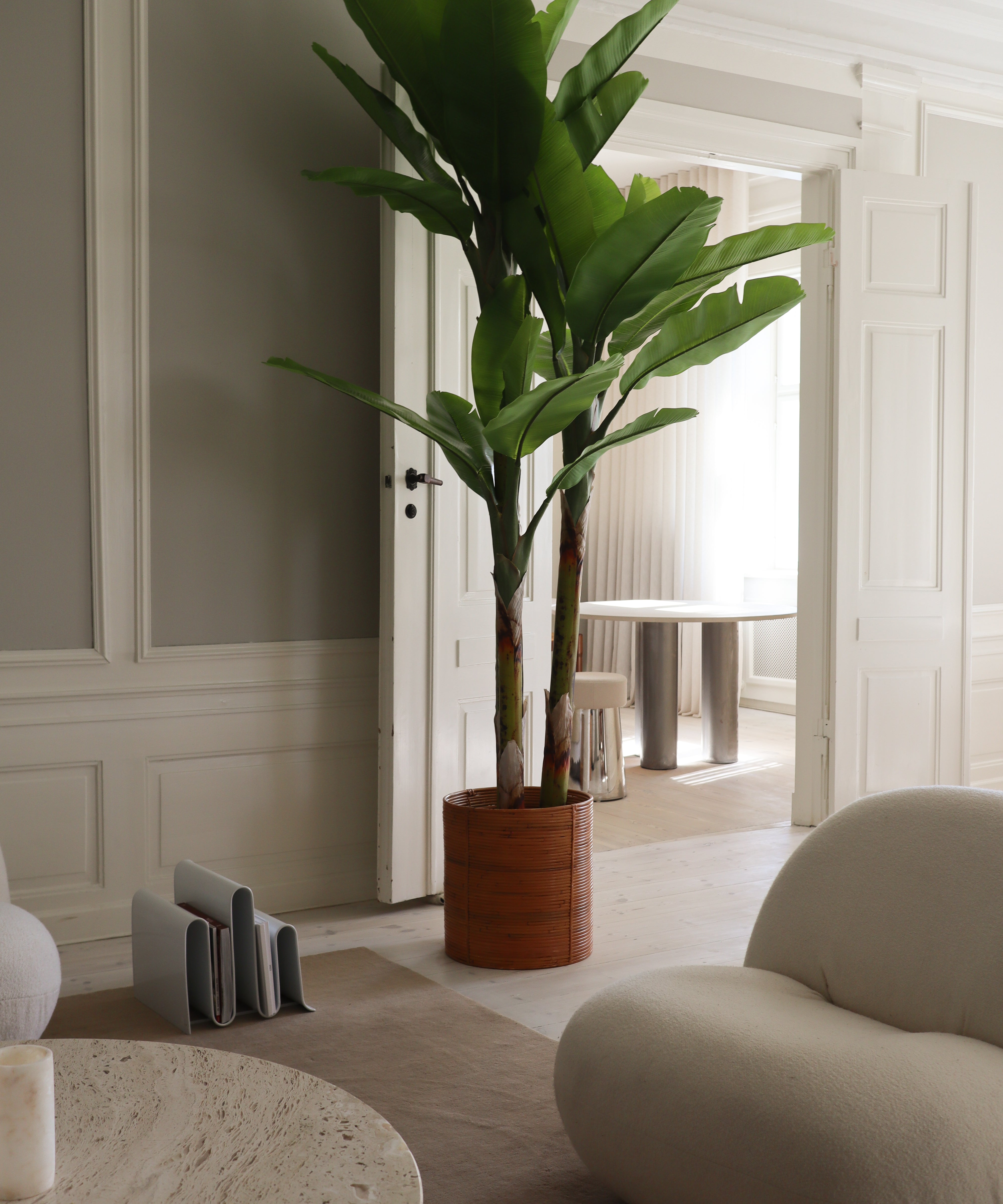 Botané | Botanical Design Studio