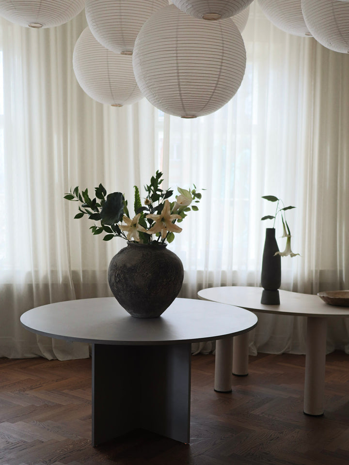 About Botané