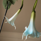 Light Blue Large Datura Stramonium Flower