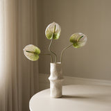 Light Green Anthurium Flower