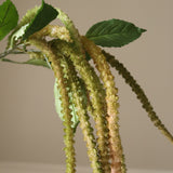 Light Green Three Forks Amaranthus Flower