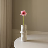 Light Pink Gerbera Daisy Flower