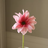 Light Pink Gerbera Daisy Flower