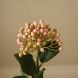 Light Pink Hydrangea Berry Branch